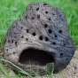 lampička