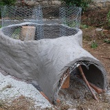 strom-01.jpg