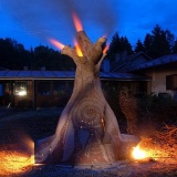 strom-15.jpg