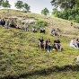 baliny-18.jpg