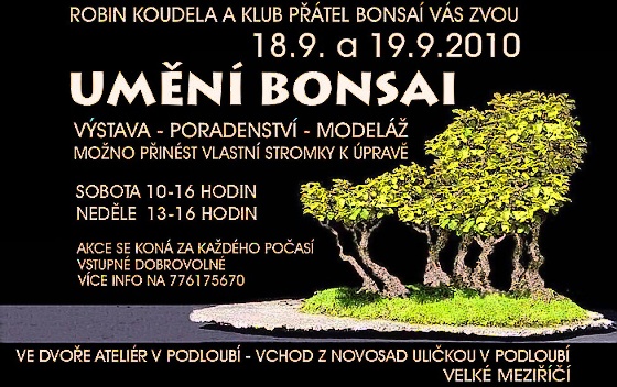 bonsai10.jpg